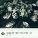 다다수산유통 Daum카페