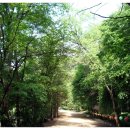 시우목장 이미지