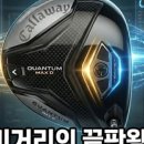그린골프나주