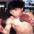 1994복싱 이미지