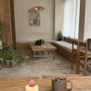 광주충장중학교 | 광주 산수동 카페 오프온오프 애견동반카페 느좋카페