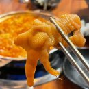 [부산/금정구] 부산대 닭발 추천 !! 신짜글이닭발 다녀왔어요 (oﾟvﾟ)ノ