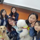 원광대학교 보건·보완의학대학원 이미지