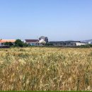 가파도상동민박 이미지