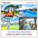 서해청과 | 대부도 오션뷰 카페온더요트애견동반 요트감성 이색 카페