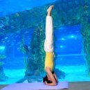 웃음요가-1 | [아쿠아리움 요가 / 나이트요가 /요가원데이클래스] 신비한 바닷속 아쿠아리움 힐링 나이트요가 후기