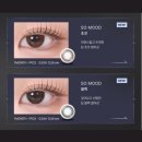 시스루안경 | 삼백안 여성의 웨딩렌즈 방황기 (하파크리스틴 시스루크리스틴/ 다비치안경 라이트 쏘무드 렌즈 착용 후기)