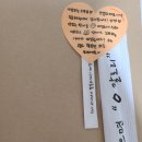 부라더보쌈 | [광주] 부라더 보쌈 후기