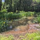 수지생태공원 이미지