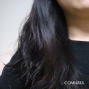 헤어올가