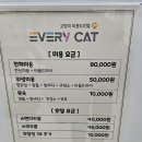 에브리캣 이미지