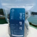 바다품애 이미지
