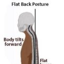 비버스필라테스 이미지