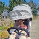 소랑소랑 인제주 이미지