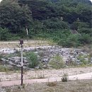 경주식당 이미지
