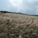 양산신-2011 이미지