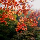 포천 산정호수와 명성산 계곡으로 첫단풍 나들이 이미지