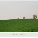 초록목장 이미지