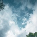 해마루목장 | [321번째 캠핑후기] 강원도 계곡 캠핑장 추천. 나무...평창 흥정계곡캠핑장 해마루에서 보낸 2박 3...