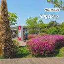 영동약국 | 영동고속도로 덕평휴게소 맛집 운영시간 토스트 추천