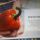 햇살팜