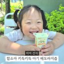 도라지 | 함소아 키득키득 배도라지 후기 아기 배도라지즙 추천
