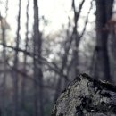 관악본치과의원 이미지