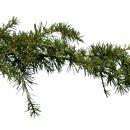 헬씨라이프 이미지