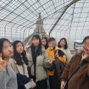 메디치약국 이미지