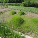 가음농장 이미지