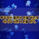 투자자는 팔면서 돈을 버는게 아니라 사면서 돈을 번다. 이미지