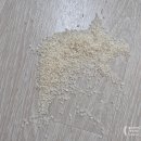 좋은쌀로 밥짓고 | [내돈내산] 쌀집총각 - 경기 추청 아끼바레 백미쌀 솔직후기