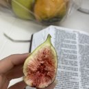 명국농장 네이버블로그