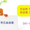차령농원 이미지