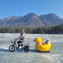 허브밸리(축제장) | 포천 가볼만한곳 산정호수 썰매축제에서 즐기는 경기도여행