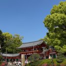 카츠 고릴라 | 교토 시내 여행 부타고릴라 가모강 근처 돈까스가 맛있는 가와라마치 맛집