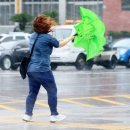 태풍약국 이미지