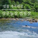 무릉도원면-23 이미지