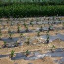 일구공인중개사사무소 이미지