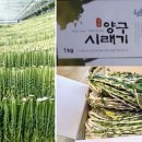 형수농산물