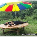 임동농장 이미지