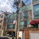 서유1호 이미지