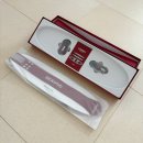 2198 | 슬렌웨이 EMS 벨트 리뷰💫 바쁜 엄마의 홈케어 루틴