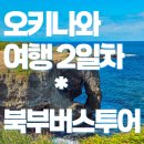 일본여행┃오키나와 가족여행 3박 4일 후기 # 2일차 (지노투어 북부 버스투어) #내돈내산