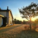 홈월드민박 이미지