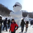 1월11일(토)[07:00출발] 강원○태백산☆눈꽃축제 ♧온세상이 하얗게 변해버린 동화속 세상 이미지