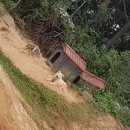 사천승마장 이미지