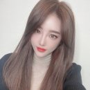 짜르지오 이미지