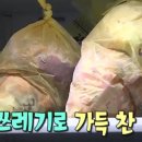 음식물 쓰레기 냉동고 보관이 위험한 이유? 이미지