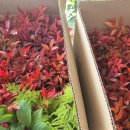 윤희공방 이미지